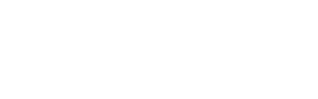 IDNB Logo